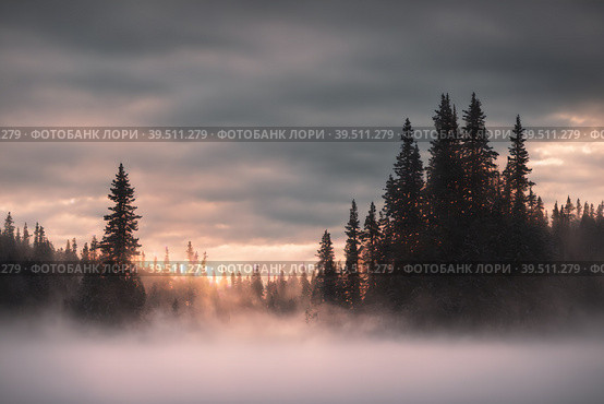 Beautiful frozen northern landscape at sunset during bliszard, AI generated. Стоковое AI-изображение, AI-художник Сергей Старуш / Фотобанк Лори