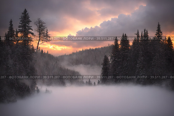 Beautiful frozen northern landscape at sunset during bliszard, AI generated. Стоковое AI-изображение, AI-художник Сергей Старуш / Фотобанк Лори