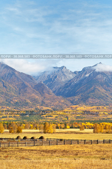 Beautiful rural autumnal landscape with yellowed meadows and haystacks against the background of Eastern Sayan Mountains with low clouds on a sunny day. Buryatia, Baikal region, Tunka Valley, Arshan. Стоковое фото, фотограф Виктория Катьянова / Фотобанк Лори