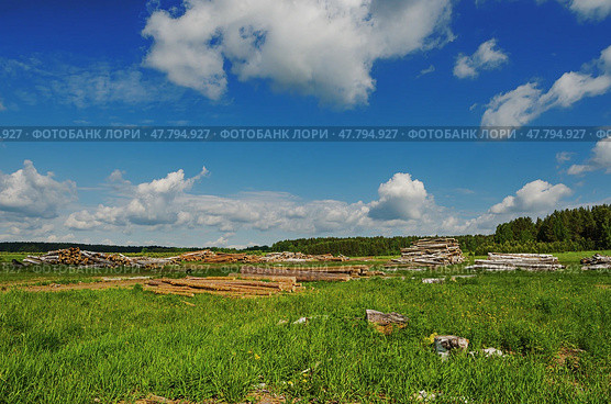 Beautiful rural summer landscape. Стоковое фото, фотограф Сергей Завьялов / Фотобанк Лори