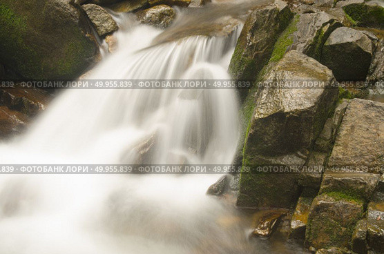 Beautiful waterfall in the forest. Стоковое фото, агентство Ingram Publishing / Фотобанк Лори