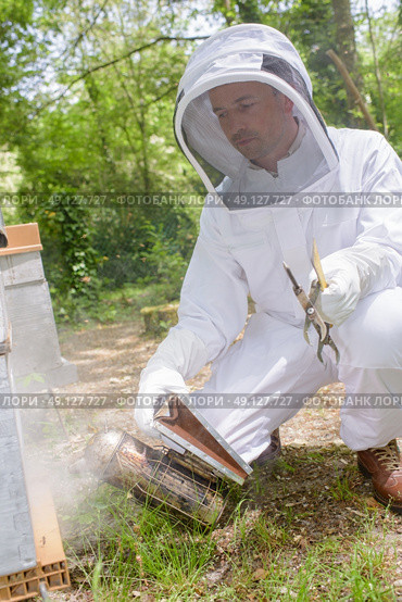 beekeeper in the apiary. Стоковое фото, агентство Ingram Publishing / Фотобанк Лори