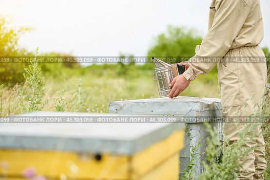 Beekeeper working at his apiary. Стоковое фото, фотограф Pixel_shot / Фотобанк Лори