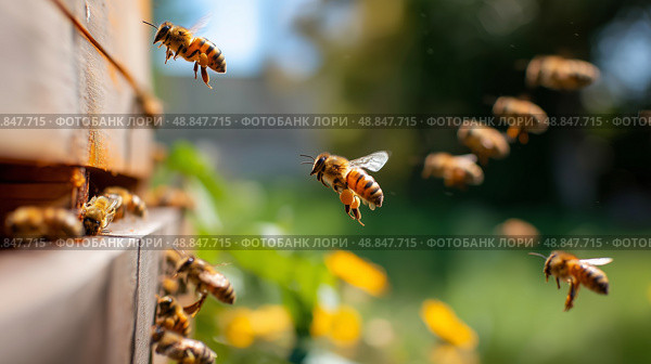 Bees flying around a beehive in a garden during a sunny afternoon. Стоковое AI-изображение, AI-художник Сергей Толмачёв / Фотобанк Лори
