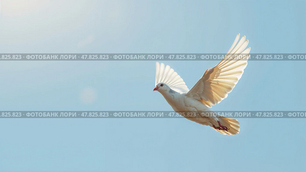 Белый голубь летит в голубом небе, раскрыв крылья. A white dove flies in the blue sky, wings open. Стоковое AI-изображение, AI-художник Смирнова Светлана / Фотобанк Лори
