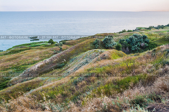 Берег Таганрогского залива в Ростовской области (2015 год). Стоковое фото, фотограф Алёшина Оксана / Фотобанк Лори