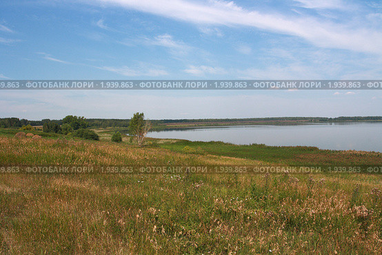 Берег у озера Залина. Стоковое фото, фотограф Анатолий Матвейчук / Фотобанк Лори