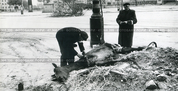 Берлинцы срезают мясо с убитой лошади у аэродрома Темпельхоф. Май 1945. Фотограф Евгений Халдей. Редакционное фото, фотограф Retro / Фотобанк Лори