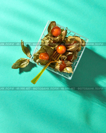 Berries of ripe physalis with a peel in a basket with a plastic fork, reflection of shadows on a green background, top view. Orange physalis in a basket with a fork represented on a green background. Стоковое фото, агентство Ingram Publishing / Фотобанк Лори