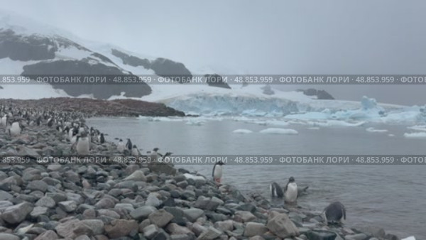 Big Iceberg in Antarctica Winter Scenery, Amazing Shape Ice Formation of Massive Large Enormous Blue Icebergs in Antarctic Peninsula Landscape Seascape with Ocean Sea Water. Стоковое видео, видеограф Vladimir / Фотобанк Лори