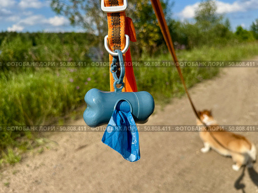 Biodegradable bags for pet feces. Стоковое фото, фотограф Соболева Наталия / Фотобанк Лори
