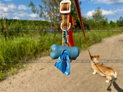 Biodegradable bags for pet feces. Стоковое фото, фотограф Соболева Наталия / Фотобанк Лори