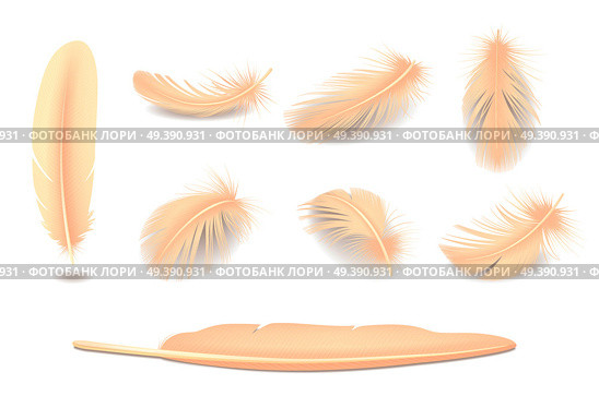 Bird Feathers Set. Стоковая иллюстрация, агентство Ingram Publishing / Фотобанк Лори