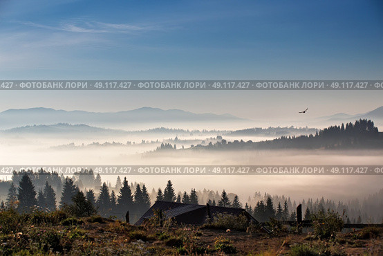 Bird flying over hills and village. Foggy morning in Carpathian mountains. Стоковое фото, агентство Ingram Publishing / Фотобанк Лори