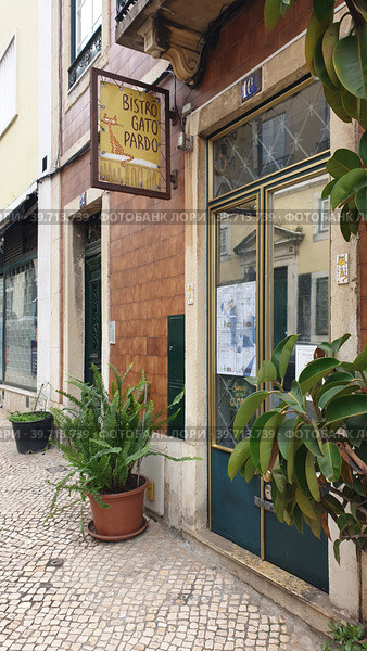 Bistro Gato pardo. Сан-Висенте-де-Фора, Лиссабон, Португалия (2023 год). Редакционное фото, фотограф lana1501 / Фотобанк Лори
