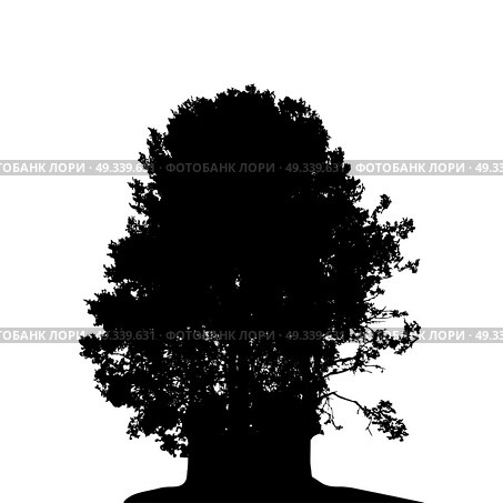 Black and White Silhouette of Deciduous Tree, whose branches develop in the wind. Vector Illustration. EPS10. Black and White Silhouette of Deciduous Tree, whose branches dev. Стоковая иллюстрация, агентство Ingram Publishing / Фотобанк Лори