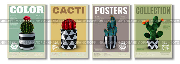 Blooming cacti varieties 4 realistic mini posters set with popular house plants in  decorative pots vector illustration. Стоковая иллюстрация, агентство Ingram Publishing / Фотобанк Лори