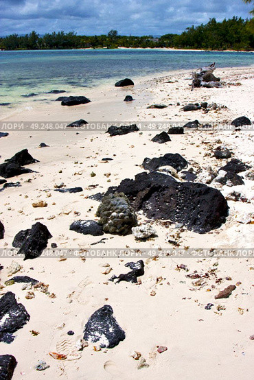 blue bay foam footstep indian ocean some stone in the island of deus cocos in mauritius . Стоковое фото, агентство Ingram Publishing / Фотобанк Лори