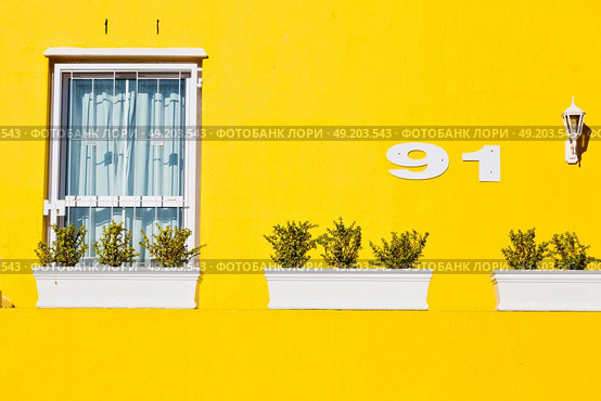 blur in south africa cape town    bo kaap architecture   like   texture background. Стоковое фото, агентство Ingram Publishing / Фотобанк Лори
