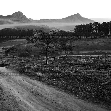 blur in swaziland   mlilwane wildlife  nature  reserve mountain and tree. Стоковое фото, агентство Ingram Publishing / Фотобанк Лори