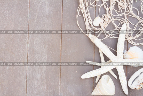 border of starfish and sea shells on wooden planks background with copy space. starfish and sea shells on wooden board. Стоковое фото, агентство Ingram Publishing / Фотобанк Лори