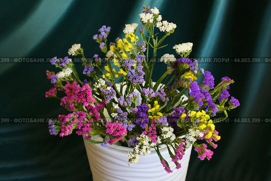 Bouquet of multicolored flowers in a vase (Limonium sinuatum, Statice sinuata) on a green background. Стоковое фото, фотограф Ирина Вершинская / Фотобанк Лори