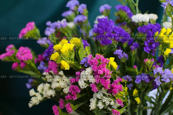 Bouquet of multicolored flowers in a vase (Limonium sinuatum, Statice sinuata) on a green background. Стоковое фото, фотограф Ирина Вершинская / Фотобанк Лори