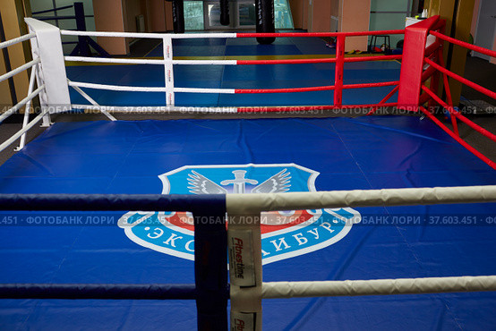 Boxing ring of fighting club Excalibur. (2022 год). Редакционное фото, фотограф Сергей Пристяжнюк (Serg Zastavkin) / Фотобанк Лори