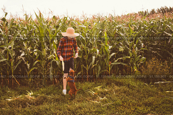 Boy child running, dog and puppy chasing across corn field. Boy loves freedom, child loves sun and sky. Dog running quickly, puppy running near. Field wide, dirt dry, sky endless, freedom alive. Стоковое фото, фотограф Юлия Киселёва / Фотобанк Лори