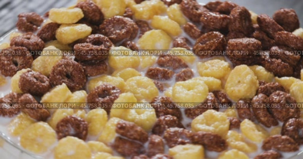 Breakfast Chocolate corn cereal in a bowl with milk. Стоковое видео, видеограф Андрей Армягов / Фотобанк Лори