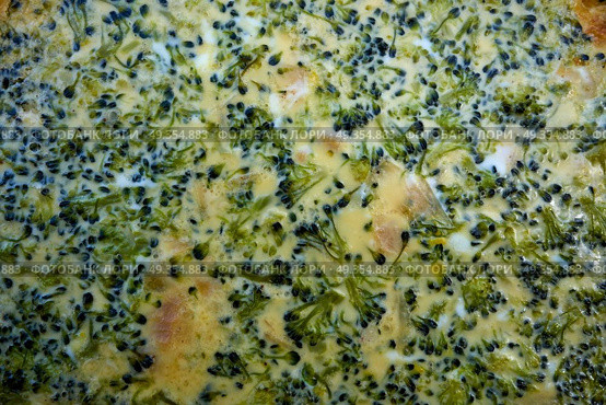 Broccoli quiche french recipe homemade. Broccoli quiche french recipe homemade texture detail. Стоковое фото, агентство Ingram Publishing / Фотобанк Лори