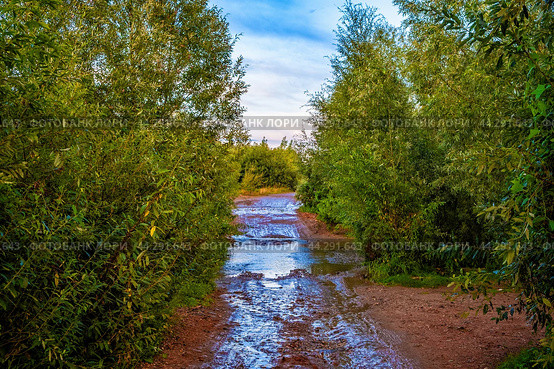 Брод через реку (река Рахма, Старое Кстово) Стоковое фото, фотограф Илья Старков / Фотобанк Лори