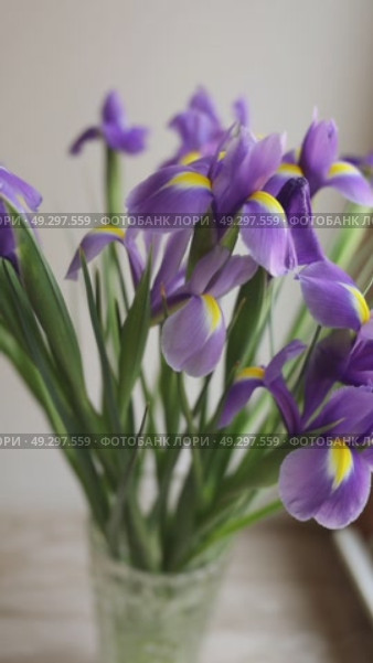 Букет цветов. Стоковое видео, видеограф Клопотовская Мария / Фотобанк Лори