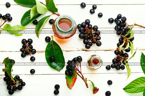 Bunches of fresh chokeberry. Healthy drink. Herbal medicine and homeopathy. Healthful chokeberry in herbal medicine. Стоковое фото, агентство Ingram Publishing / Фотобанк Лори