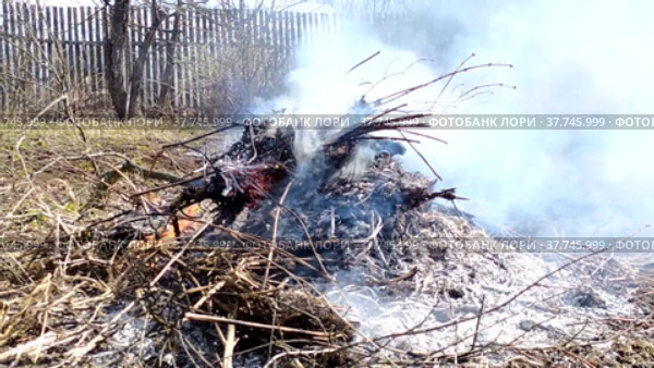 Burning dry grass and garbage in a garden plot. Spring work in the garden. Site preparation in the spring. Стоковое видео, видеограф Лилия Фролова / Фотобанк Лори
