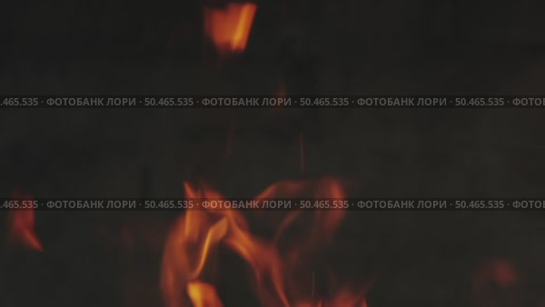 Burning fire flame on dark background. Стоковое видео, видеограф Михаил Коханчиков / Фотобанк Лори
