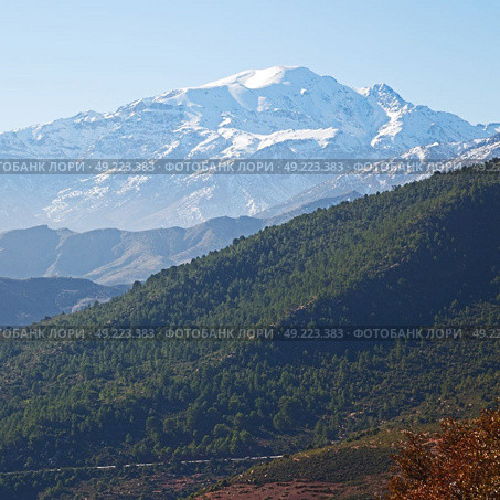 bush in todra gorge morocco africa and    snow. Стоковое фото, агентство Ingram Publishing / Фотобанк Лори