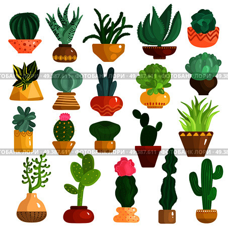 Cacti and succulents in pots flat icons collection with aloe agave kalanchoe opuntia euphorbia isolated vector illustration . Cacti Succulents In Pots Set. Стоковая иллюстрация, агентство Ingram Publishing / Фотобанк Лори