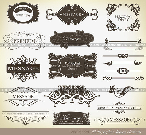 calligraphic design elements and page decoration/ vector set. Стоковая иллюстрация, агентство Ingram Publishing / Фотобанк Лори