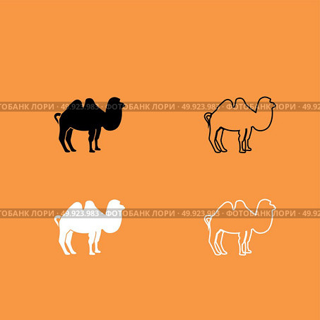 Camel black and white set icon . Стоковая иллюстрация, агентство Ingram Publishing / Фотобанк Лори