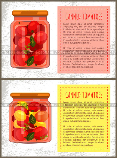 Canned tomatoes food set of posters with editable text. Conservation of vegetables of different types. Dill and leaves accompaniment to pickles vector. Canned Tomatoes Food Set Vector Illustration. Стоковая иллюстрация, агентство Ingram Publishing / Фотобанк Лори