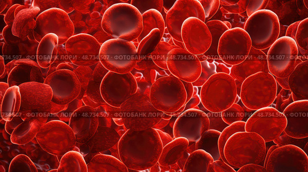 capillaries red blood cells in vein ai generated. Стоковое AI-изображение, AI-художник Vectorwin / Фотобанк Лори