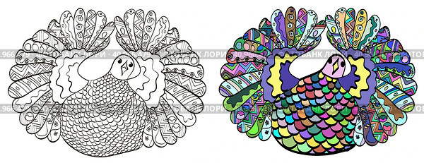 Cartoon birds of paradise dancing on a white background. Page for coloring. Unpainted bird and painted. Стоковая иллюстрация, иллюстратор Бузмакова Светлана / Фотобанк Лори