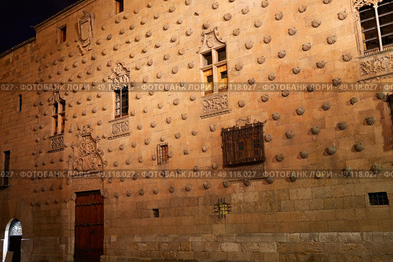Casa de las Conchas shell house in Salamanca of Spain. Стоковое фото, агентство Ingram Publishing / Фотобанк Лори