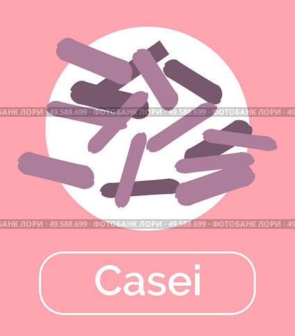 Casei bacteria for healthy digestion and good microflora. Bacterium with beneficiary effect. Probiotics helping immune system, immunity booster. Microorganisms with text, vector in flat style. Casei Probiotics for Human Digestive System Vector. Стоковая иллюстрация, агентство Ingram Publishing / Фотобанк Лори