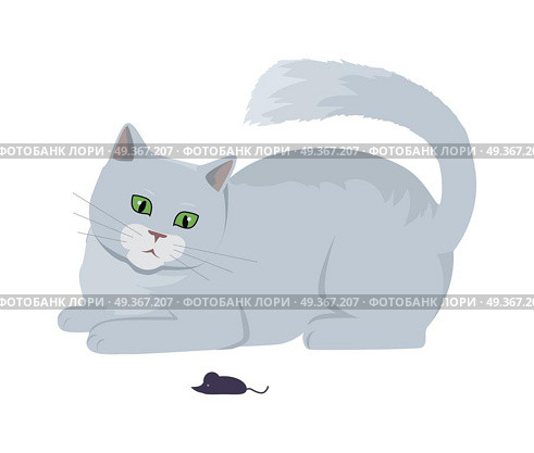 Cat with Mouse Vector Flat Design Illustration. Cat with mouse, Cute grey cat playing with toy flat vector illustration isolated on white background. Purebred pet. Domestic friend and companion animal. For pet shop ad, hobby concept, breeding. Cat with Mouse Vector Flat Design Illustration. Стоковая иллюстрация, агентство Ingram Publishing / Фотобанк Лори