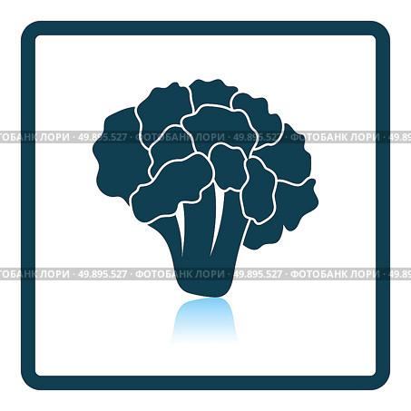 Cauliflower icon. Shadow reflection design. Стоковое фото, агентство Ingram Publishing / Фотобанк Лори