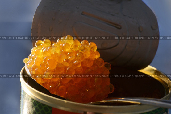 caviar salmon on a teaspoon. Стоковое фото, агентство Ingram Publishing / Фотобанк Лори