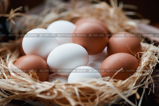 Chicken, Easter eggs in nest on wooden background. Стоковое фото, фотограф Photojuli / Фотобанк Лори