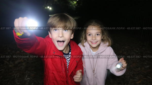 Children exploring a forest at night with flashlights, enjoying an adventure in the dark. Стоковое AI-изображение, AI-художник Сергей Толмачёв / Фотобанк Лори